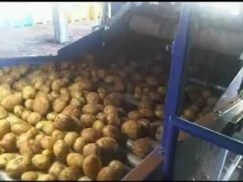 Γραμμή Διαλογής Πατάτας — Potatoes Sorting, Grading and Packing Line_Novatec